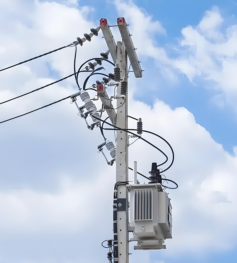 Apa saja jenis penangkap lonjakan?